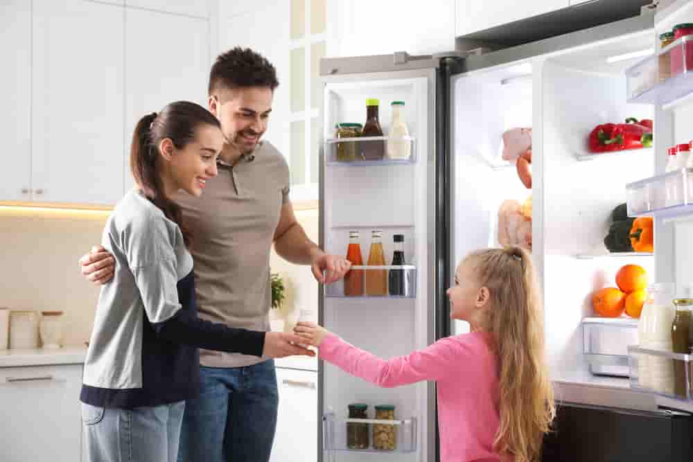 Free Refrigerator Programs For Low income Families - Grant Supporter