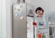 Free Refrigerator Programs
