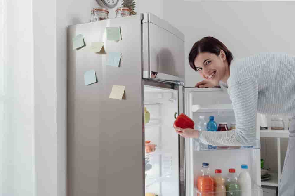 Free Refrigerator Programs For Low Families Grant Supporter