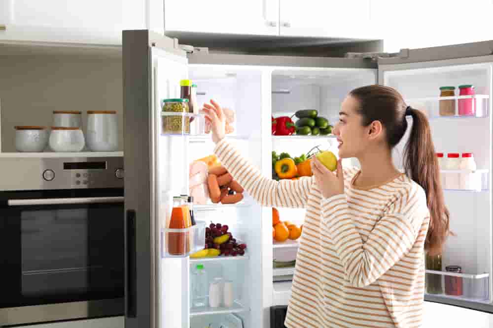 Free Refrigerator Programs For Low income Families Grant Supporter
