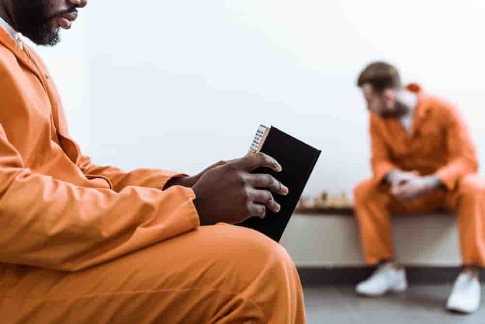 Top 7 Government Benefits For Felons Grant Supporter