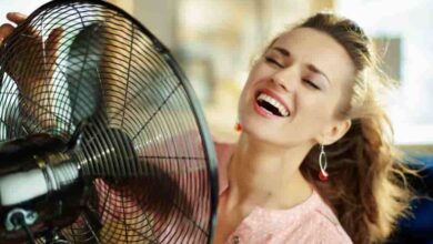 free standing ceiling fan