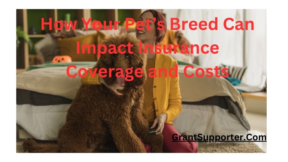 How Your Pet's Breed Can Impact Insurance Coverage and Costs?
