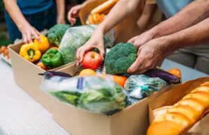 Benefits of Food Distribution Programs