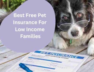 Best Free Pet Insurance For Low Income Families