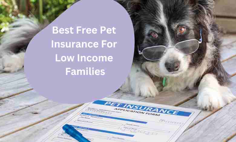 Best Free Pet Insurance For Low Income Families