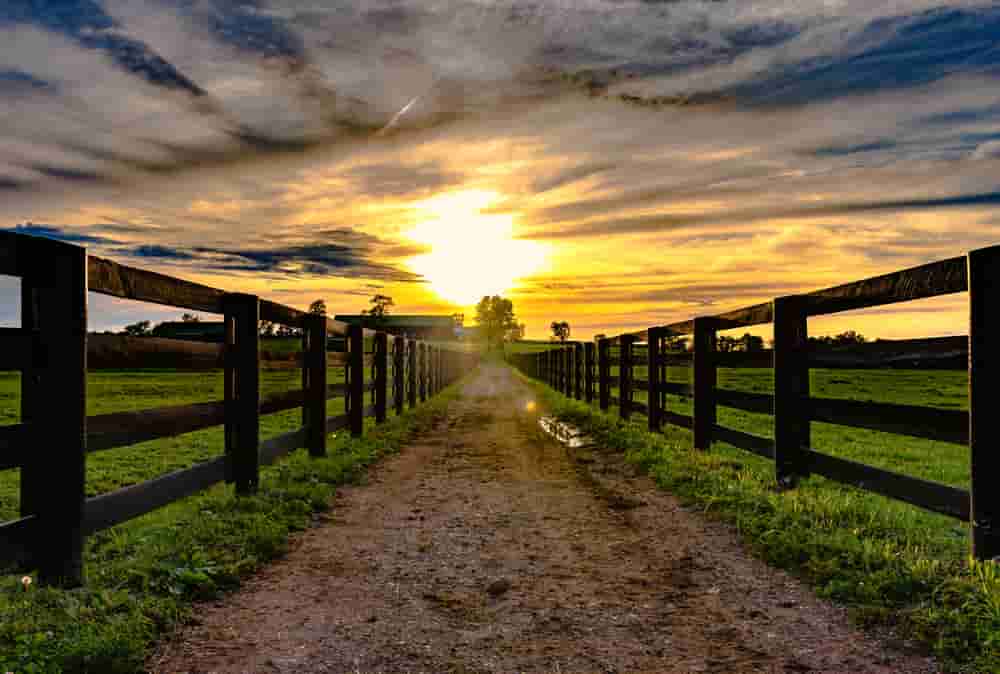 Farm Fencing Grants Types and Benefits (Get it Today)