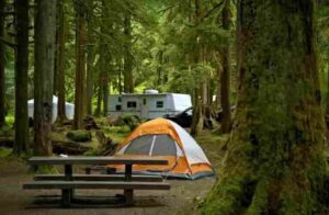 Grants For Starting a Campground