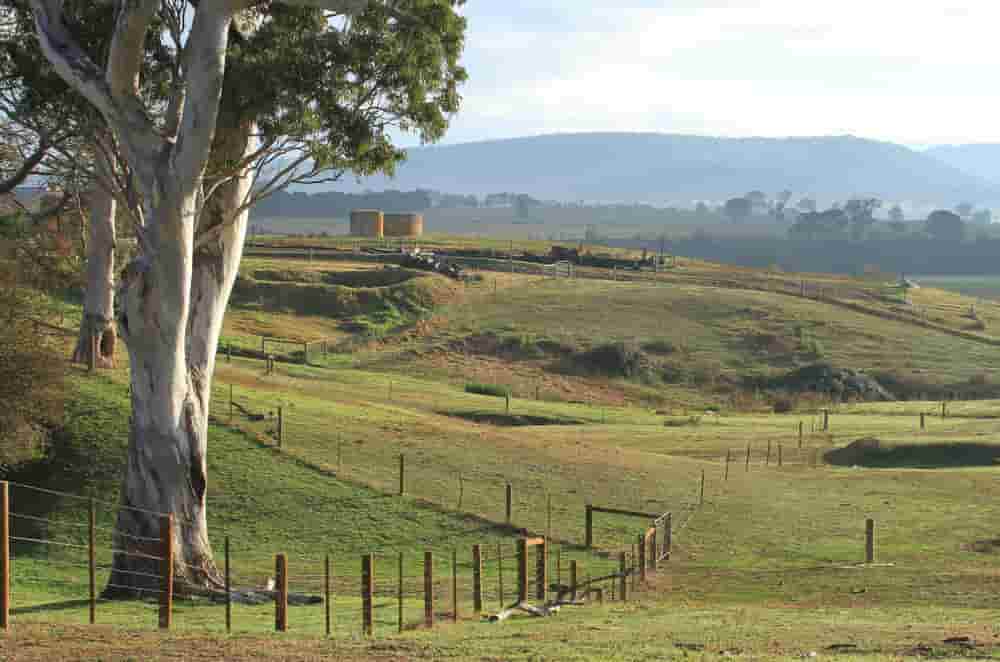 Farm Fencing Grants Types and Benefits (Get it Today)