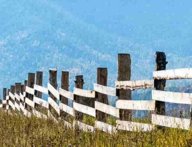 Unlocking the Farm Fencing Grants Types and Benefits.