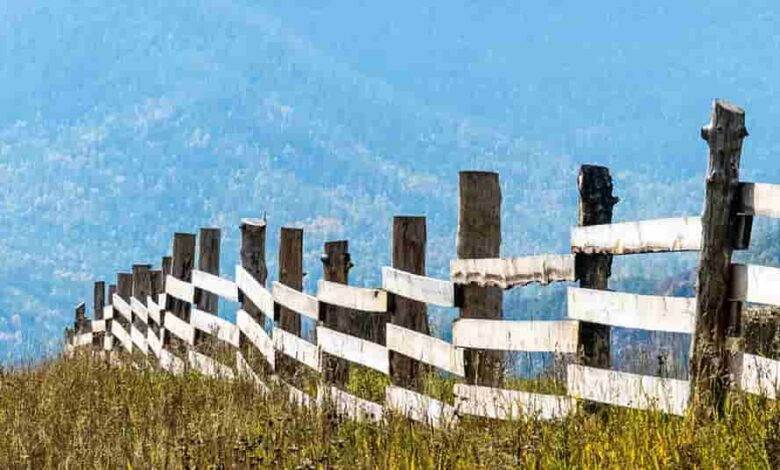 Unlocking the Farm Fencing Grants Types and Benefits.