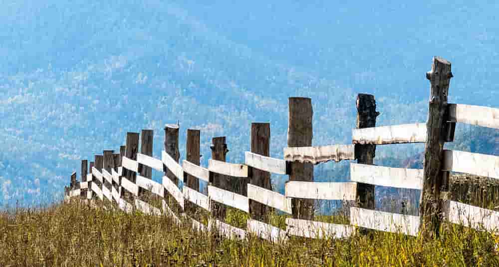 Farm Fencing Grants Types and Benefits (Get it Today)