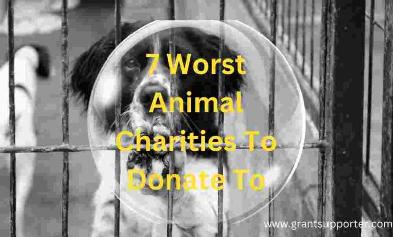 7 Worst Animal Charities To Donate To