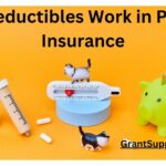 Deductibles Work in Pet Insurance