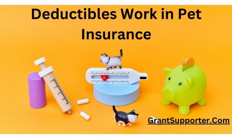 Deductibles Work in Pet Insurance