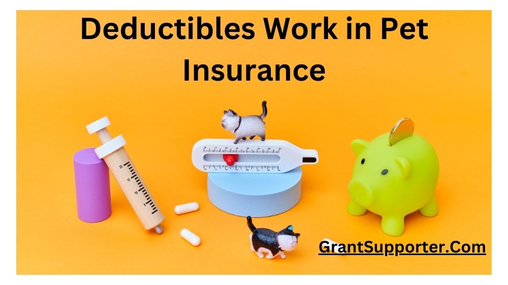 Understanding How Deductibles Work in Pet Insurance