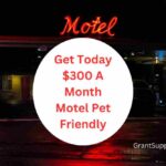 Find Now $300 A Month Motel Pet Friendly Quick Guide
