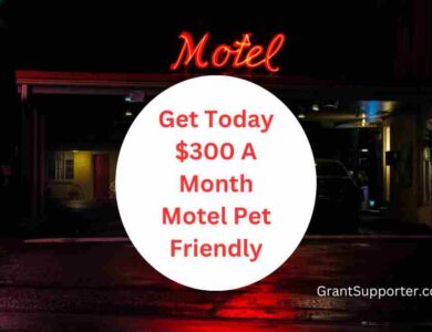 Find Now $300 A Month Motel Pet Friendly Quick Guide