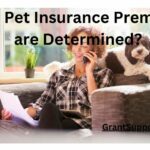 How Pet Insurance Premiums are Determined