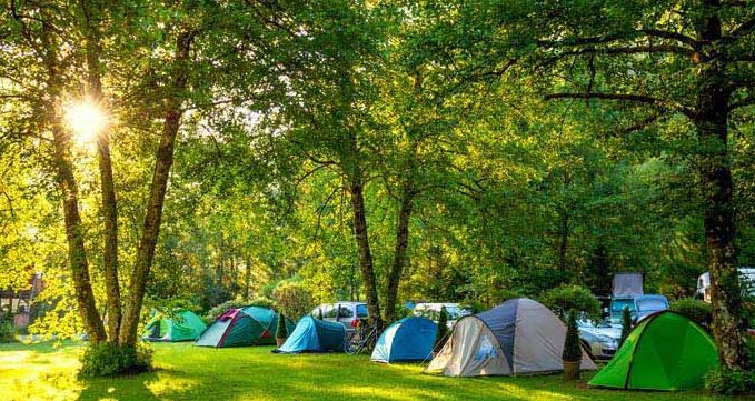How To Setup Team For Campground Business
