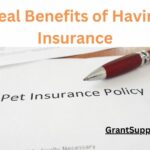 The Real Benefits of Having Pet Insurance