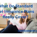 What Do Standard Pet Insurance Plans Really Cover