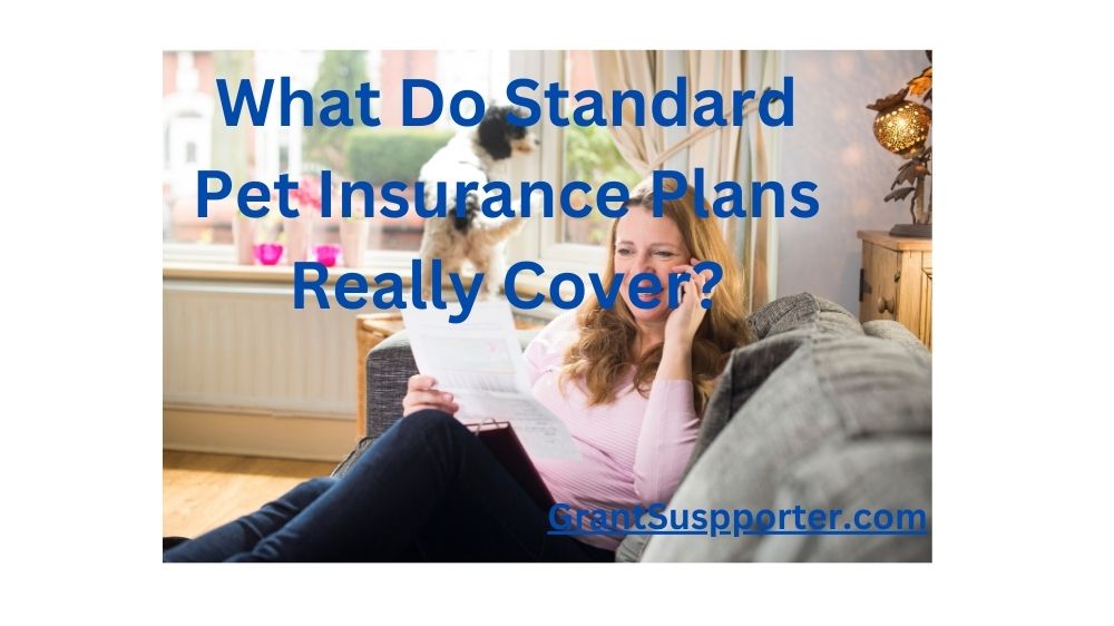 What Do Standard Pet Insurance Plans Really Cover?