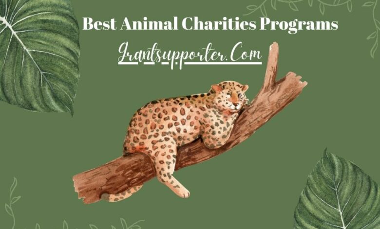 Animal Charities