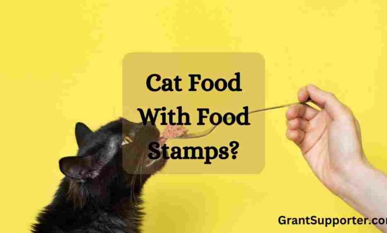 Can You Buy Cat Food With Food Stamps?