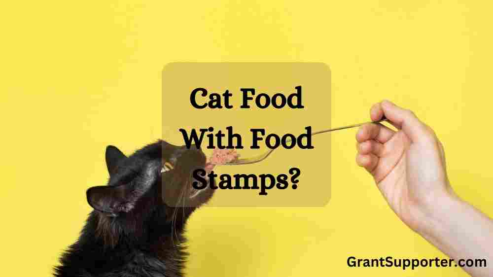 can-you-buy-cat-food-with-food-stamps-in-2024-grant-supporter