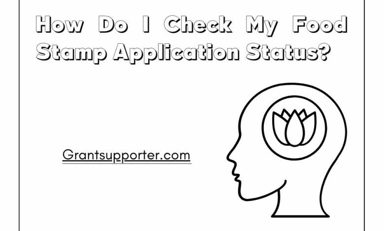 Food Stamp Application Status
