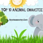 Animal Charities
