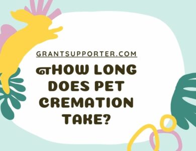 Pet Cremation Take