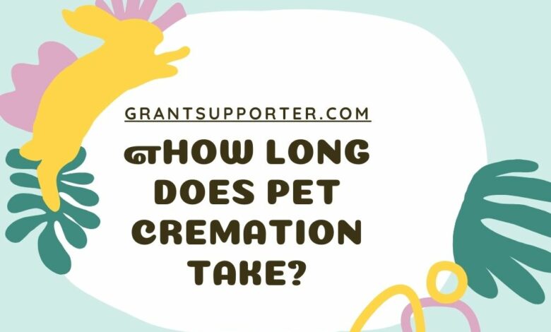Pet Cremation Take