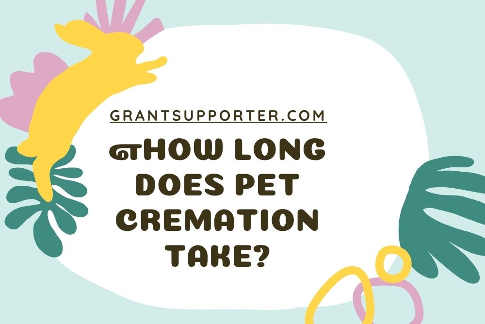 How Long Does Pet Cremation Take?