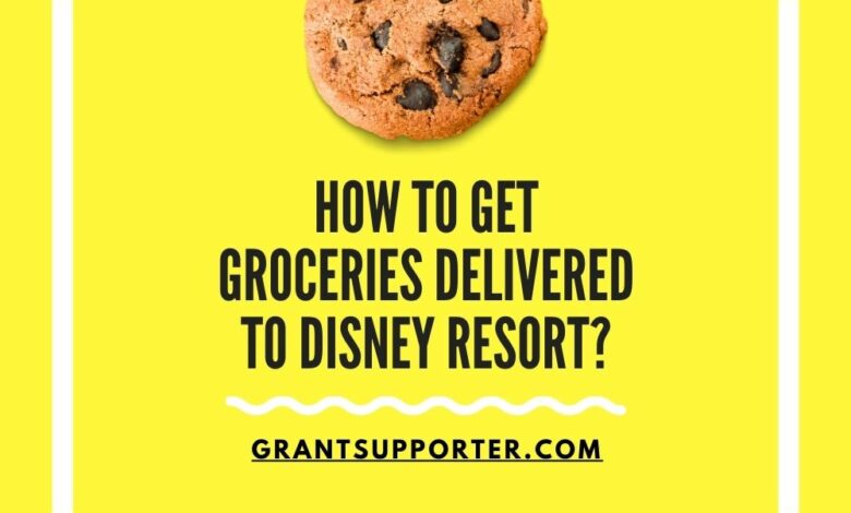 Groceries Delivered To Disney Resort