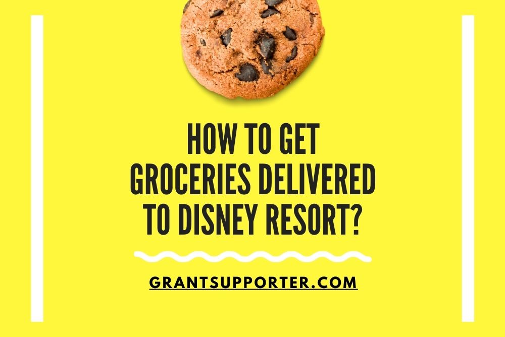 how-to-get-groceries-delivered-to-disney-resort