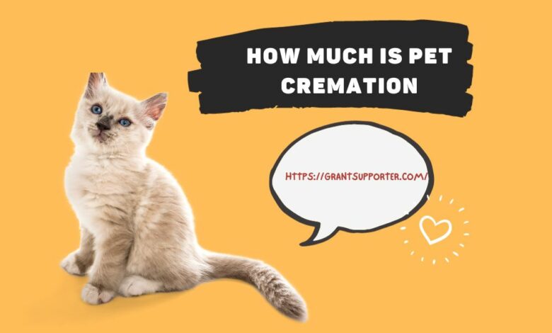 pet cremation