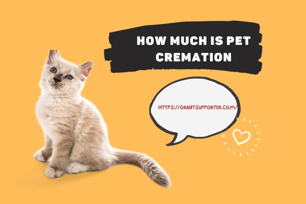 How Much Is Pet Cremation?