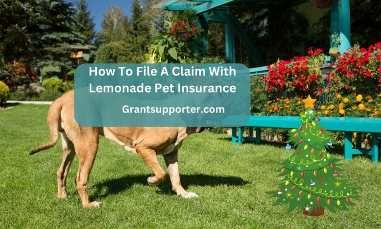 How To File A Claim With Lemonade Pet Insurance?