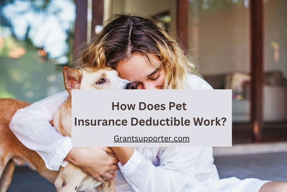 Pet Insurance With Low Deductible