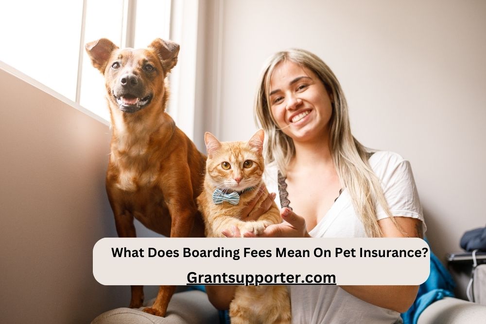 Dog Insurance Boarding Fees