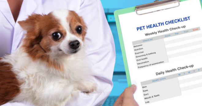 A Lifetime Pet Insurance Policy