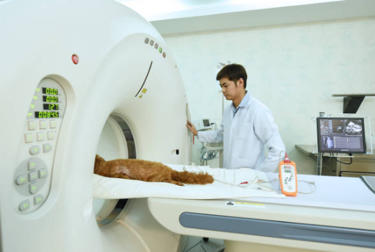How Much Does A Pet Scan Cost 
