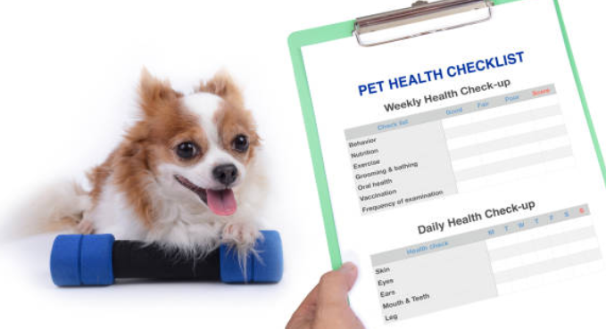 How Does Pet Insurance Deductible Work?